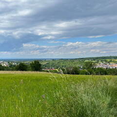 22-06-06 14-49-54 1072